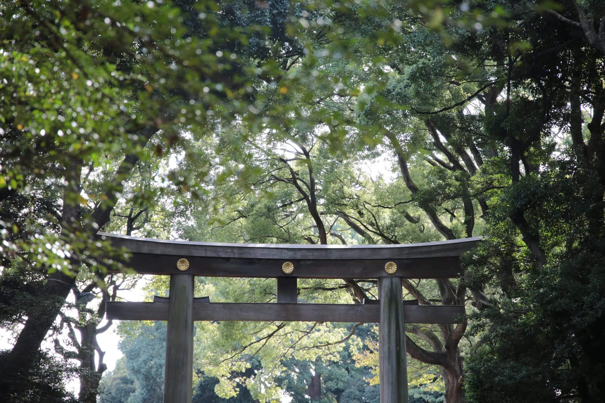 A torii in Tokyo, Japan Meiji Shrine