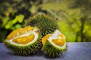 Malaysia durian king of fruits