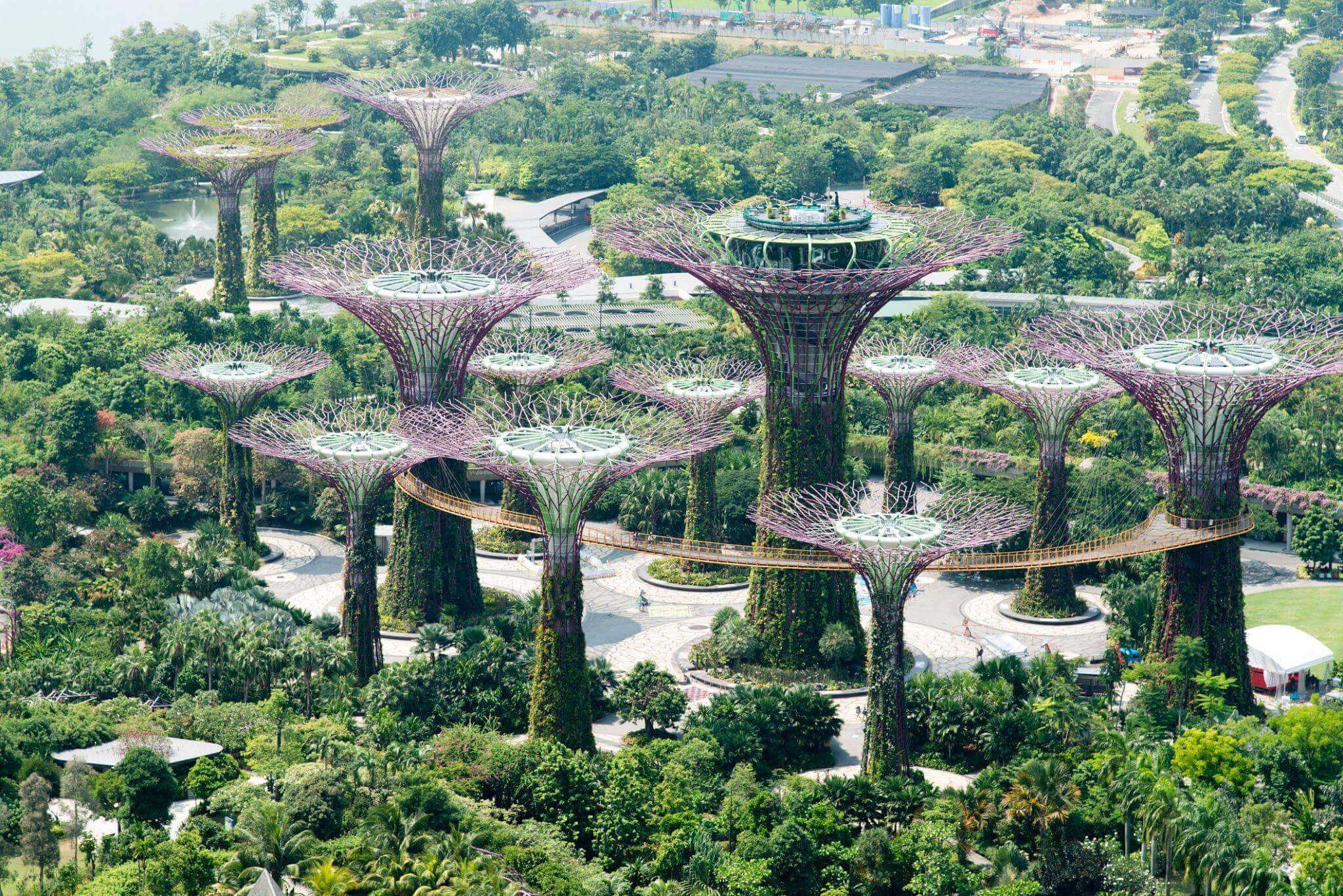 gardens by the bay